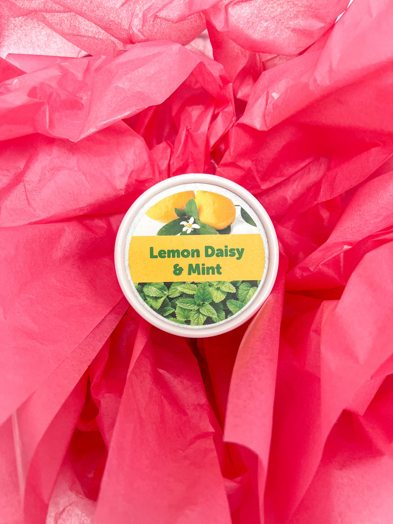 Happy Wax Eco Tin Lemon Daisy & Mint scent