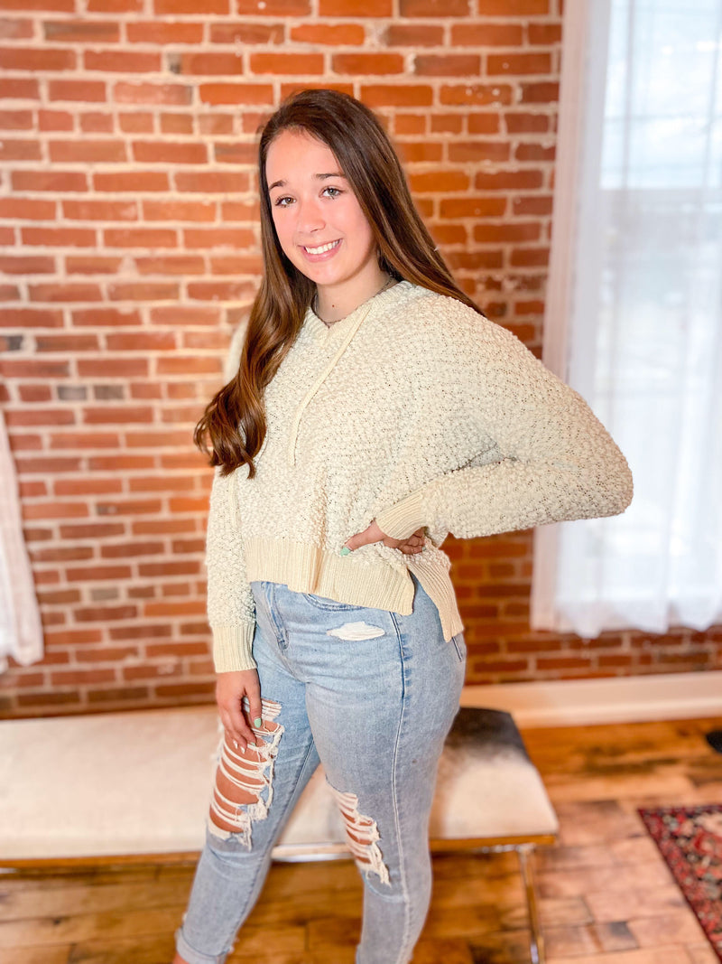 Bylee Alpaca Textured Hoodie