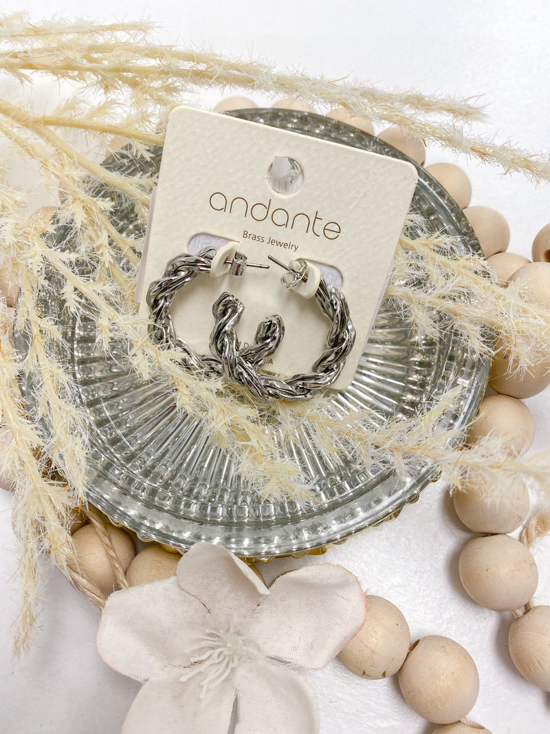 Metallic Hoop  Earrings