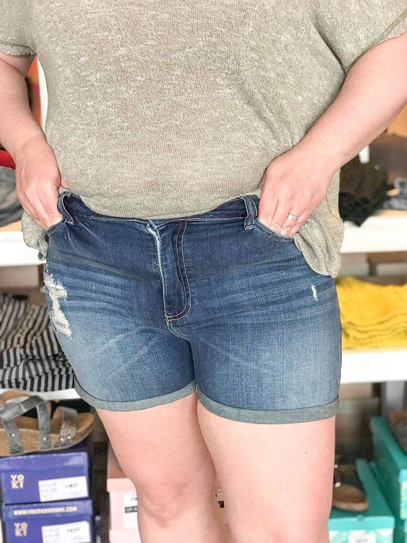 Darcy High Rise Distressed Shorts